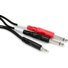 1001 3.5 Mm. Trs (M) - Dual 1/4 Inç Ts (M) Stereo Breakout Kablo 90 cm (CMP-153)