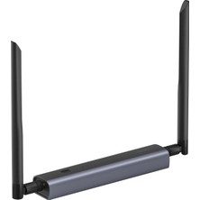 1001 Zigbee/thread Poe Dongle Max, Ethernet, Wi-Fi ve USB Bağlantılarını Destekler, EFR32MG24&EFR32D0