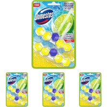 1001 Tuvalet Bloğu Limon Bahçesi 100 G (4 Paketi)