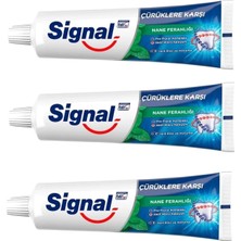 1001 Smartizi Signal Çürüklere Karşı Nane Ferahlığı Diş Macunu (3 Adet x 50 Gr) - Günlük Ağı