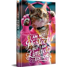 1001 Müzik Dinleyen Kedi Tasarımlı Çizgili Not Defteri – 13X21 cm Sert Kapak 192 Sayfa