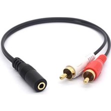 1001 3.5mm Stereo Dişi 2 x Rca Erkek (M) Ses Kablosu