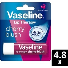 Esranın Dünyası Dudak Bakım Kremi, 4.8 Gram Cherry Blush Aroması ile