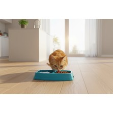 Runaway İkili Kedi Köpek Mama Kabı Ayrı Bölmeli Tasarım Pratik Beslenme Seti