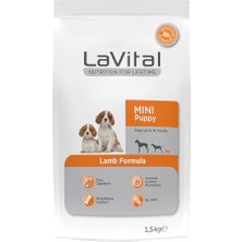Esranın Dünyası Lavital Kuzulu Mini Irk Yavru Köpek Sı 1,5kg