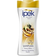 Esranın Dünyası Yağ Hazinesi Şampuan 480 ml