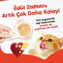 Esranın Dünyası Tavuklu Kaşıklı Kedi Ödül Kreması 10X16 G