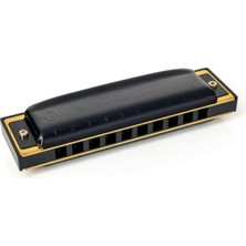 Esranın Dünyası Pro Harp Armonika A