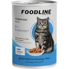 Esranın Dünyası Yetişkin Kedi Konservesi 400 Gr, Gravy Sos Içerisinde Parça Etli (400 gr x 24 Adet, Somon)
