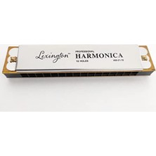 Esranın Dünyası LMHM0116 Mızıka 16 Delik Profesyonel Harmonica Kutulu