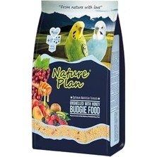 Esranın Dünyası Ballı Meyveli Kabuksuz Muhabbet Kuşyemi 400GR X5ADET