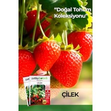 Esranın Dünyası 75 Adet Yerli Ata Sarmaşık Çilek Tohumu
