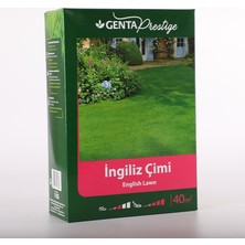 Esranın Dünyası Genta Prestige Ingiliz Çimi Tohumu 1 kg