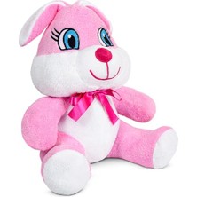 Esranın Dünyası Ofis HEDIYESI20-25 cm Figürlü Pelüş, 20 cm Teddy Bear,sevgiliye Hediye,ayı Teddy,peluş Ayıcık,plush Toys,ofis Hediyesi,renkli Ayıcık (Tavşan)