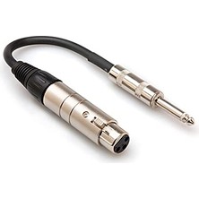 Esranın Dünyası MIT176 Empedans Transformatörü XLR3F - 1/4 Inç Ts