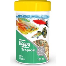 Ozka Concept Floppy Tropical Mix Flake 100ML