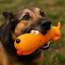 Esranın Dünyası Sesli Uzun Köpek Modeli Oyuncak, Dayanıklı Plastik Tasarım