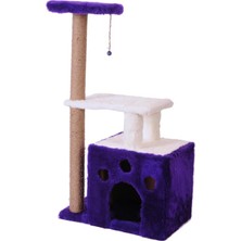 Esranın Dünyası Dayanıklı Kedi Tırmalama, Gordion Modeli, Mor