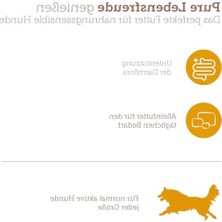 Esranın Dünyası Kanatlı Konserve Köpek Maması 400 Gram