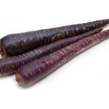 Esranın Dünyası Mor Havuç Tohumu - 5 Gram
