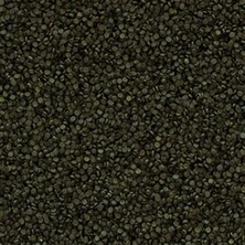 Esranın Dünyası 100 Gram Granül Yem, Süper Spirulina Desteği
