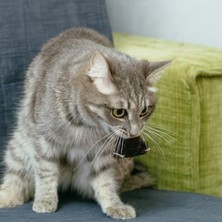 Esranın Dünyası Hareketli Fare Şeklinde Eğlenceli Kedi Oyuncağı, Dayanıklı Peluş