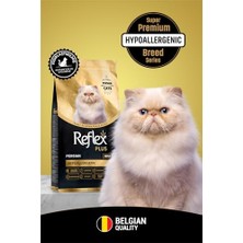 Esranın Dünyası 1.5 kg Plus Persian Yetişkin Kedi Maması, Besleyici