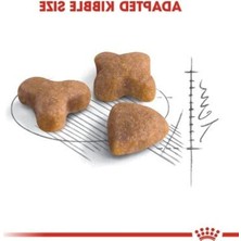 Esranın Dünyası Hassas Sindirim Için Yetişkin Kedi Maması, 10 kg