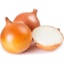 Esranın Dünyası Kaliteli Soğan Çoklu Tohum - 5 Gram