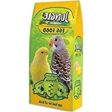 Esranın Dünyası Kuş Yemi 100 G, Besleyici ve Enerji Dolu Seçenek