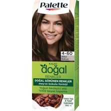 Palette Kalıcı Doğal Renkler 4-60 Altın Kahve Kakao Yağı  Yulaf Çekirdeği Özlü Saç Boyası