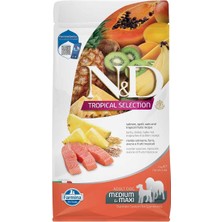 N&d Selection Somonlu ve Tropikal Meyveli Orta ve Büyük Irk Yetişkin Köpek Maması 2 kg