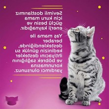 Esranın Dünyası Kümes Hayvanlı Yavru Kedi Yaş Mama 85 G