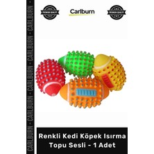 Carlburn #petshop Dikenli Tasarım Diş Kaşıyıcı Dayanıklı Temizleyici Renkli Kedi Köpek Isırma Topu Sesli - 1 Adet