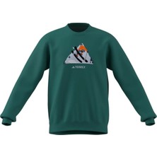 Adidas Terrex Snow Graphic Crew Sweatshirt