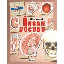 Kitabevimden Gizemleri Öğrenelim - Gizemli Insan Vücudu
