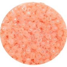 TeOra Store Dökme Cam Kum Boncuk (11/0) 2 mm - 60 Gram -  Pudra - BNC060