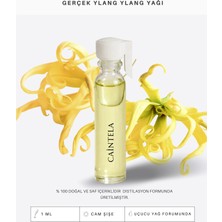 Caintela Ylang Ylang Yağı 1 ml (Cananga odorata)