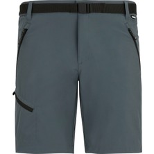 Regatta X-Ert Stretch Erkek Şort-Füme
