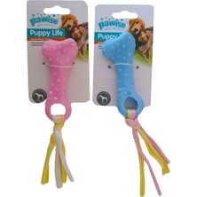 Gelalsat Pawise Puppy Life Ipli Kemik