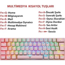 Belirtilmemiş Blueforce Majesty 62 Tuşlu Rgb Mini Gaming Oyuncu Mekanik Klavye Red Switch Pembe