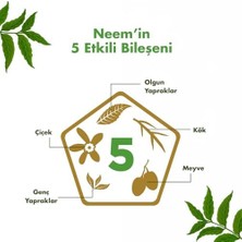 Belirtilmemiş Himalaya Sivilce Karşıtı Arındırıcı Cilt Serumu 30 ml | Salisilik Asit, Cıca, Neem Özü | Yağlı Ciltler