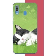 Aksesuarist Samsung Galaxy A20-A30 Uyumlu Uyuyan Kedi Baskılı Silikon Kılıf
