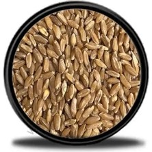 Gripet Çimlendirmelik Buğday 1 kg