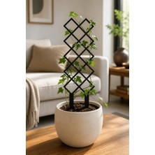 Arlia Design Arliadesign Kare Desenli Saksı Bitki Destek Çubuğu 10 × 40 cm Siyah Mdf Sarmaşık Desteği Tekli