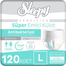 1001 Sensitive Antibakteriyel Emici Külot Large 30X4 120 Adet