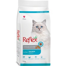 1001 Kısırlaştırılmış Yetişkin Kedi Maması Somonlu 15 kg