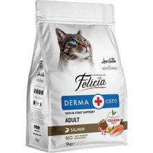 1001 5 kg Kolajenli Somonlu Az Tahıllı Yetişkin Kedi Maması Hypoallergenic Kedi Maması