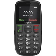 1001 GL395 Tuşlu Cep Telefonu Gümüş (Siyah)
