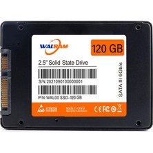1001 120 GB Dahili SSD